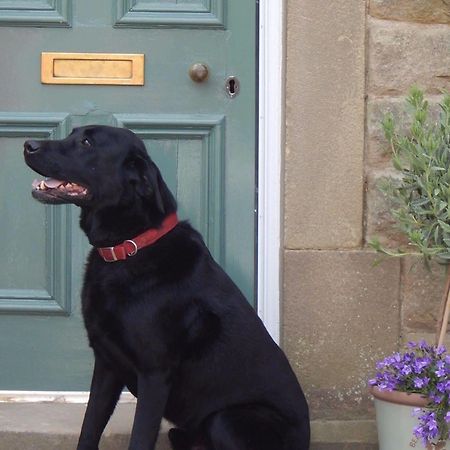 Fern Bank Bed & Breakfast Great Rowsley Exterior photo