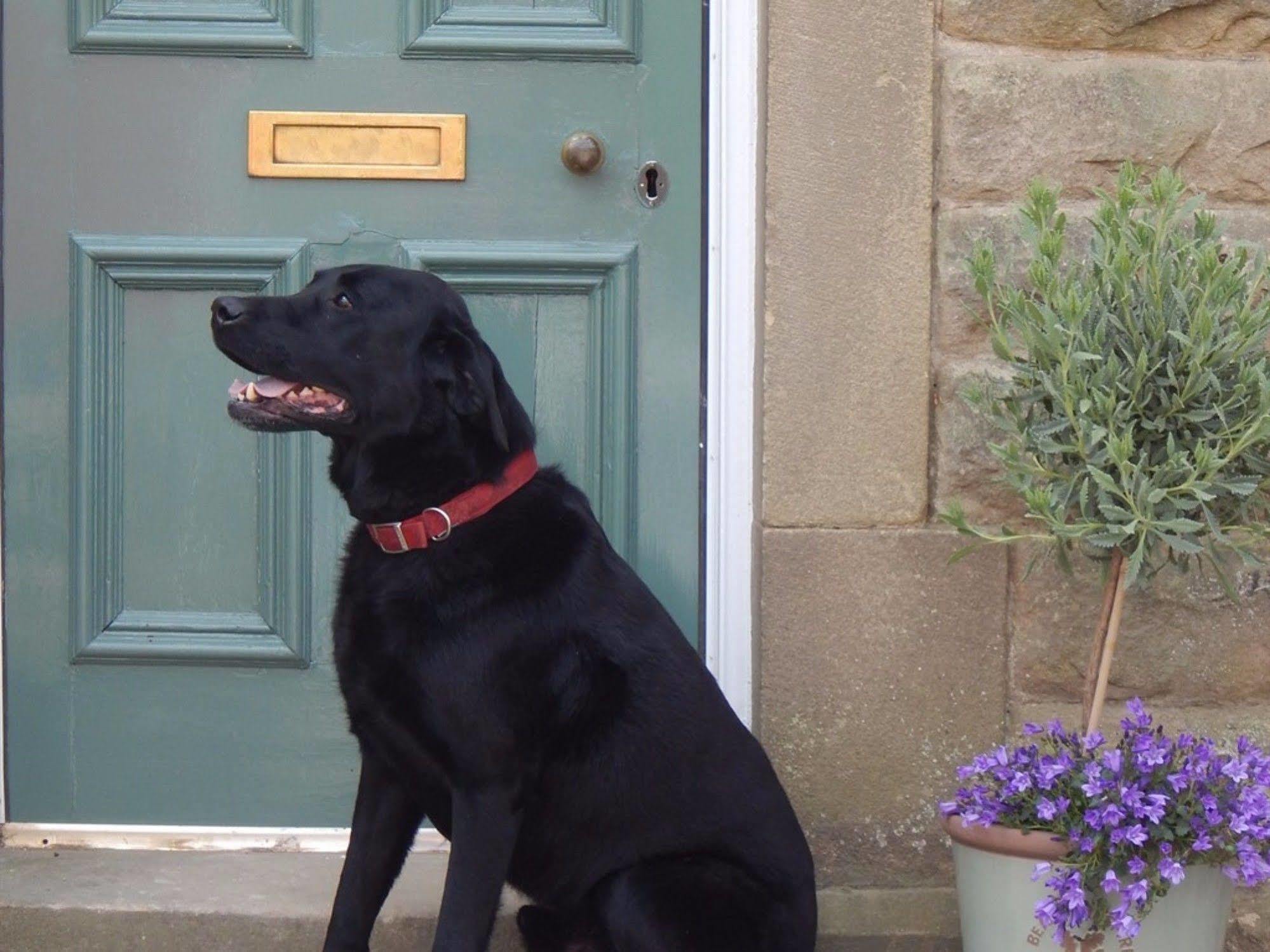 Fern Bank Bed & Breakfast Great Rowsley Exterior photo